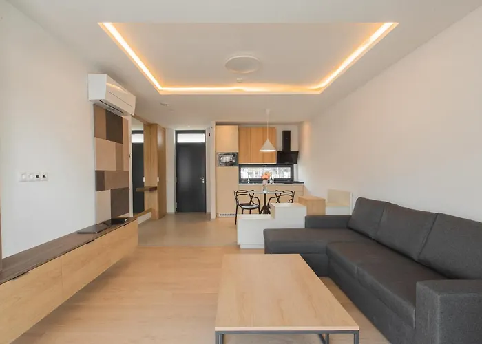 H55 * 巴拉通雷勒